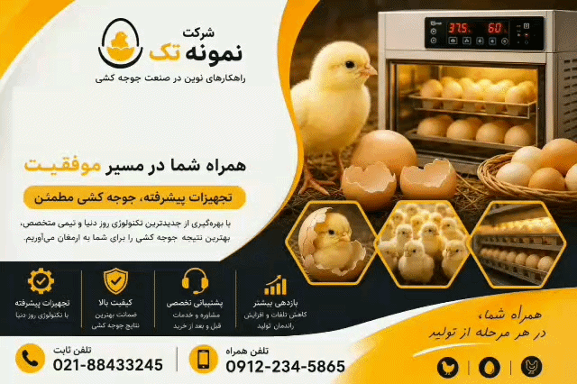 نمونه تک