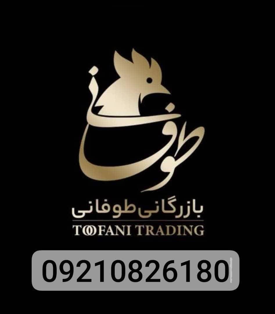 بازرگانی طلا جوجه طوفانی